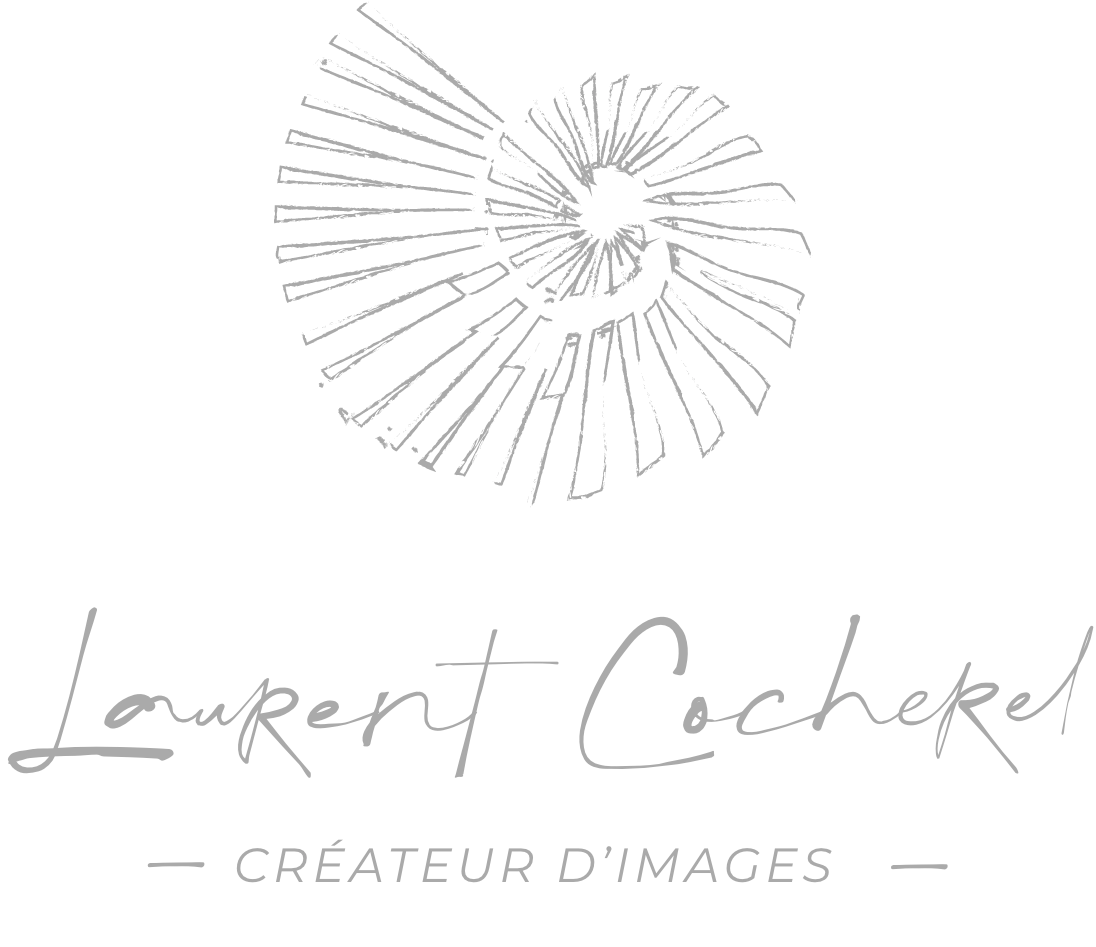 logo laurent cocherel gris