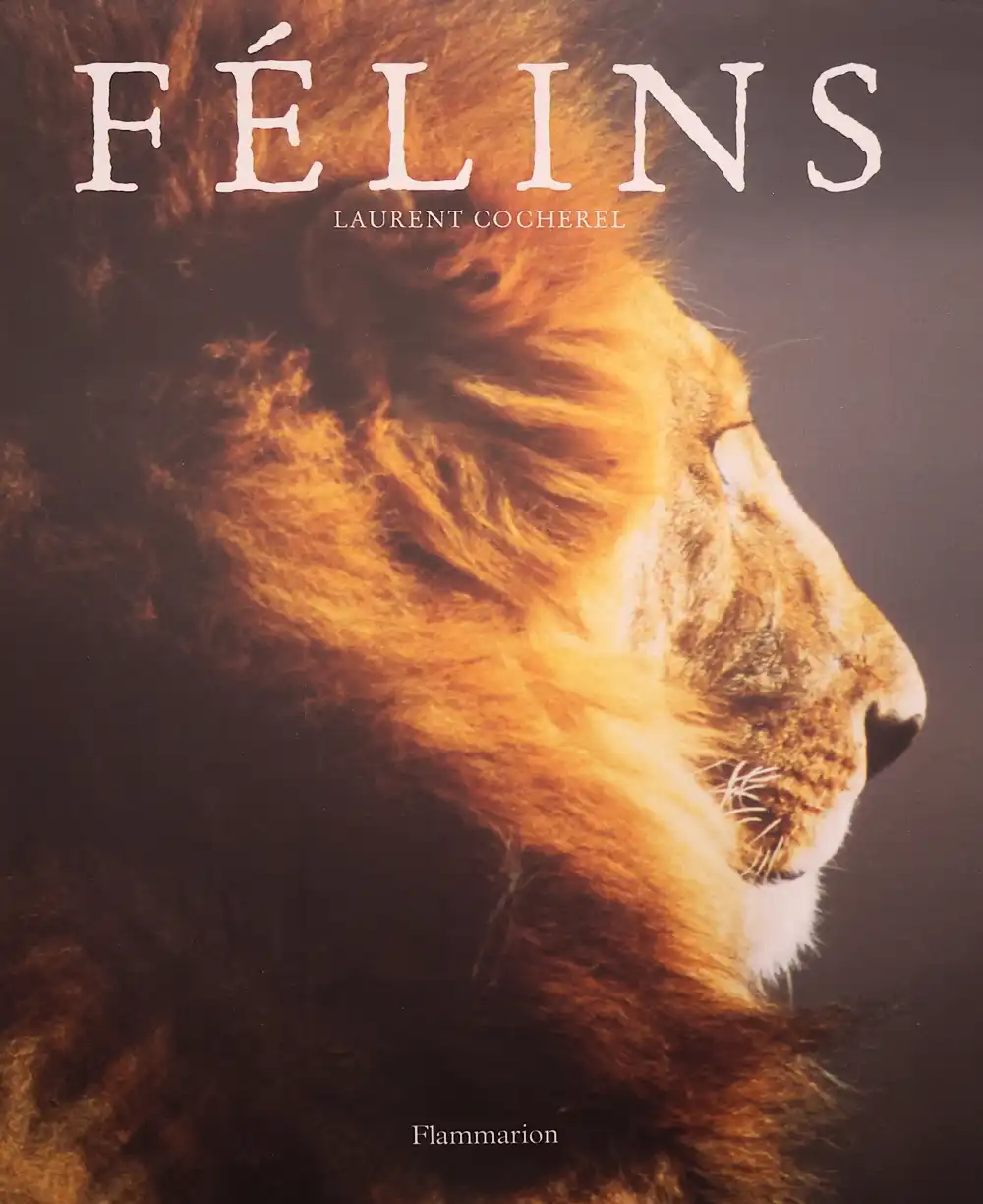 Livre Laurent Cocherel Felins