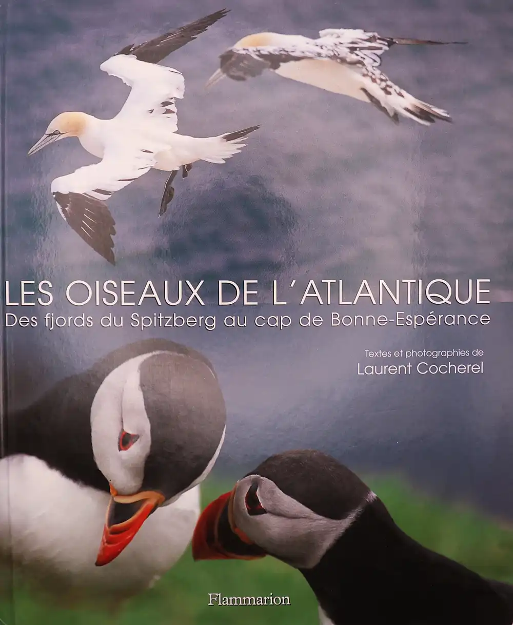 Livre Laurent Cocherel Les oiseaux de lAtlantique des fjords du Spitzberg au cap de Bonne Esperance