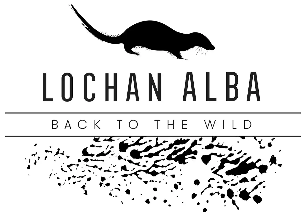 logo lochan alba laurent cocherel realisateur