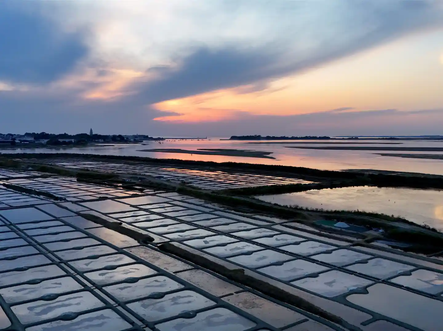 sejour ornithologie marais de Guerande
