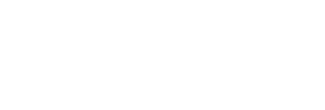 texte logo laurent cocherel blanc